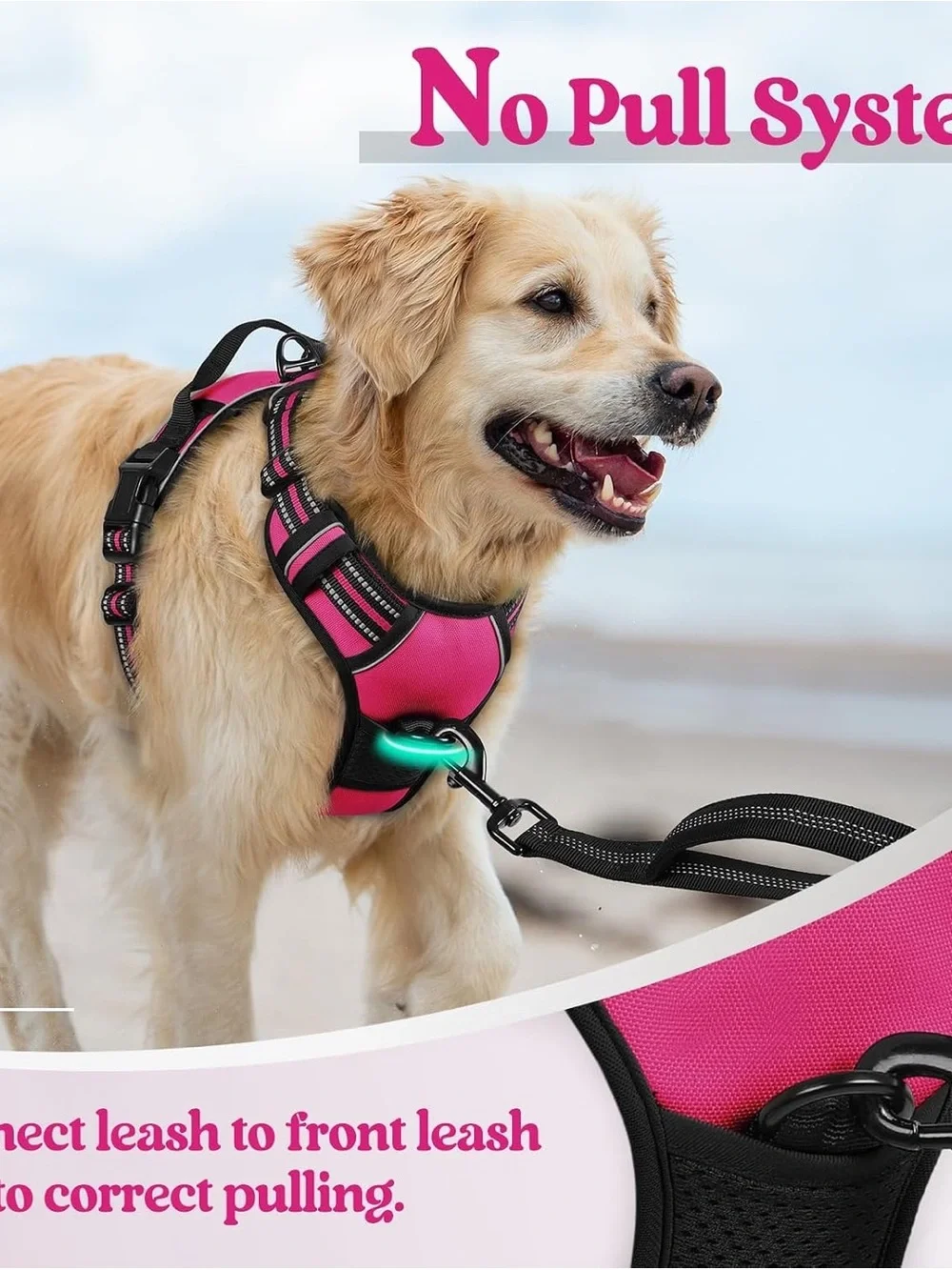 rabbitgoo Dog Harness, No Pull Medium Sized Pet Vest (22-51 lbs)